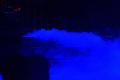 T-20170114-204440_IMG_2354-6 aa